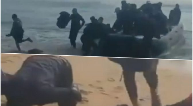 Italien: Illegale Migranten landen und werfen sich im Namen Allahs am Strand nieder (Video)