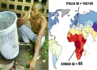 Wissenschaftler kritisiert: „Wir importieren Migranten mit zu niedrigem IQ“