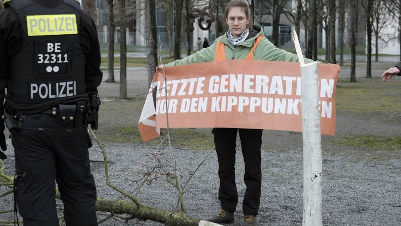 Klimaaktivisten Berlin Baum