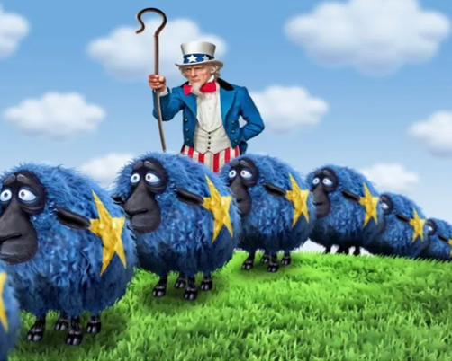 EU Schafe und Ami