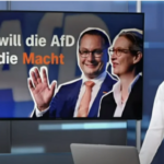 ZDF über AfD 2
