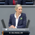 Alice Weidel Bundestag zu Grünen